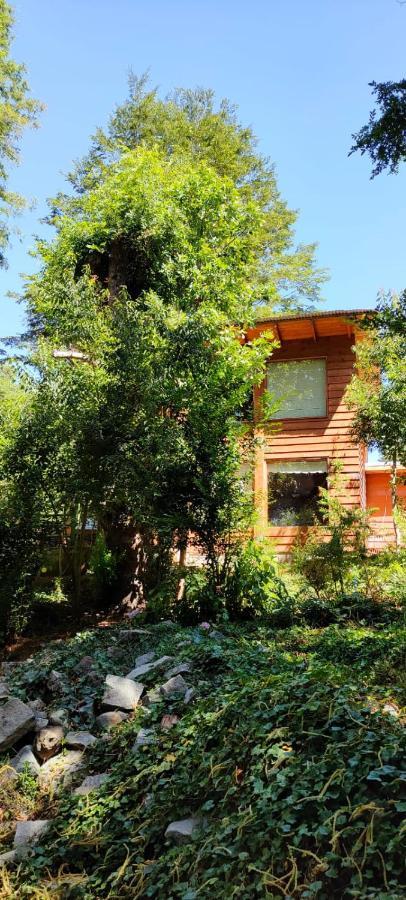 Cabanas El Cipres Пукон Екстер'єр фото