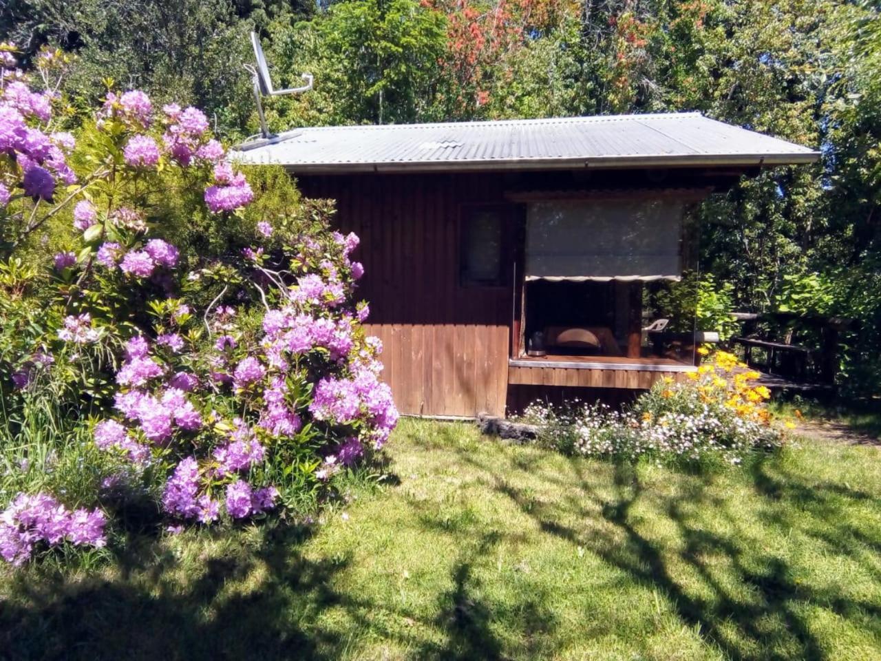 Cabanas El Cipres Пукон Екстер'єр фото
