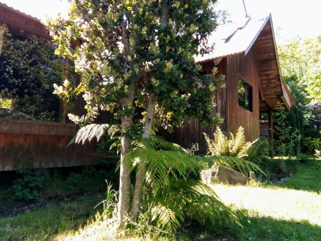 Cabanas El Cipres Пукон Екстер'єр фото